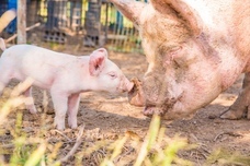 株式会社Lyactのプレスリリース画像4