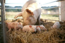 株式会社Lyactのプレスリリース画像3