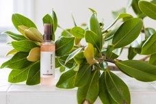 株式会社ネオナチュラルのプレスリリース画像1