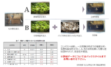 株式会社折兼のプレスリリース画像2