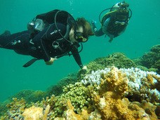 株式会社留学ジャーナルのプレスリリース画像7