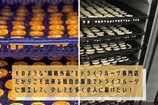 株式会社クノップのプレスリリース画像3