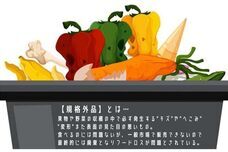 株式会社クノップのプレスリリース画像2