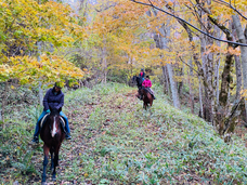 遊馬らんどグラスホッパーのプレスリリース画像2