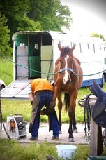 遊馬らんどグラスホッパーのプレスリリース画像7