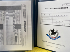 遊馬らんどグラスホッパーのプレスリリース画像3