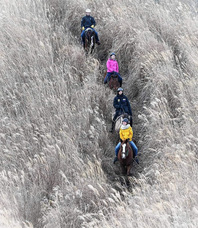 遊馬らんどグラスホッパーのプレスリリース画像9