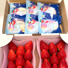 有限会社Marginのプレスリリース画像2