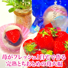 有限会社Marginのプレスリリース画像2