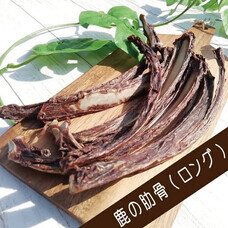 有限会社Marginのプレスリリース画像5