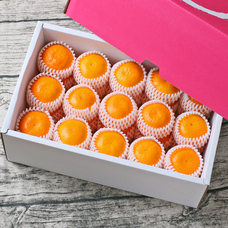 有限会社Marginのプレスリリース画像2