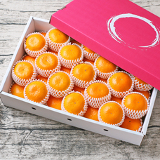 有限会社Marginのプレスリリース画像3