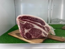 株式会社メディアラインのプレスリリース画像2