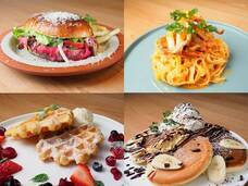 ハッピーフード株式会社のプレスリリース画像4