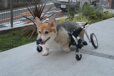 中川祐のプレスリリース画像1