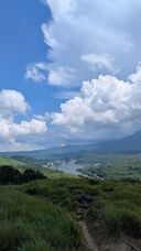 PandemicDesignのプレスリリース画像1