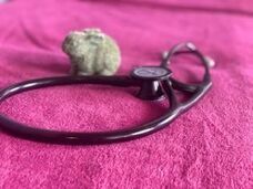 株式会社Forestのプレスリリース画像2