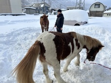 きら星株式会社のプレスリリース画像1