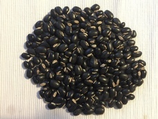 Forest Farm Productionのプレスリリース画像1