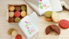 育MOGUのプレスリリース画像1