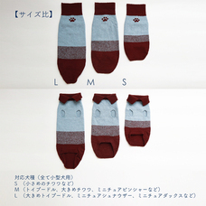 株式会社長谷川商店のプレスリリース画像3