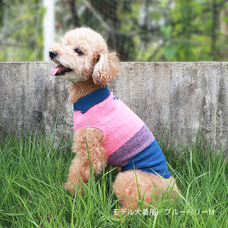 株式会社長谷川商店のプレスリリース画像2