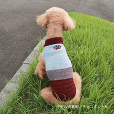 株式会社長谷川商店のプレスリリース画像1