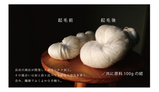 株式会社長谷川商店のプレスリリース画像1