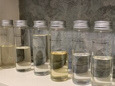 株式会社セントネーションズのプレスリリース画像2