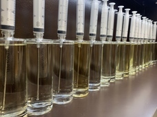 株式会社セントネーションズのプレスリリース画像3