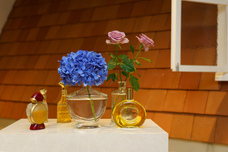 株式会社セントネーションズのプレスリリース画像10