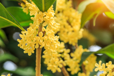 株式会社セントネーションズのプレスリリース画像2