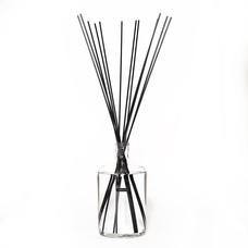 株式会社セントネーションズのプレスリリース画像1