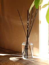 株式会社セントネーションズのプレスリリース画像2