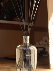 株式会社セントネーションズのプレスリリース画像8