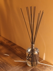 株式会社セントネーションズのプレスリリース画像6