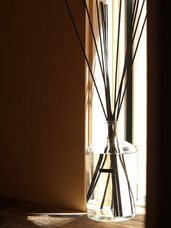 株式会社セントネーションズのプレスリリース画像5