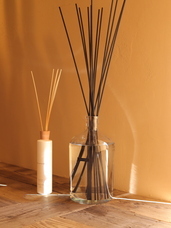 株式会社セントネーションズのプレスリリース画像3