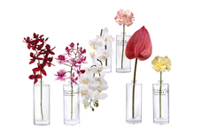 株式会社セントネーションズのプレスリリース画像8