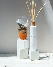 株式会社セントネーションズのプレスリリース画像6