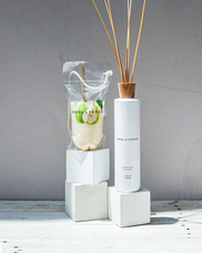 株式会社セントネーションズのプレスリリース画像8