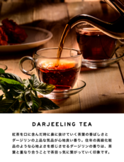 株式会社セントネーションズのプレスリリース画像4