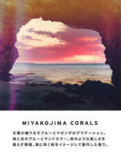 株式会社セントネーションズのプレスリリース画像1