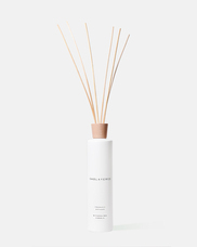 株式会社セントネーションズのプレスリリース画像2