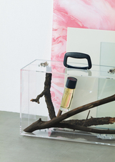 株式会社セントネーションズのプレスリリース画像12