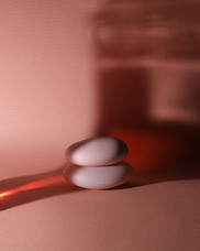 株式会社セントネーションズのプレスリリース画像13