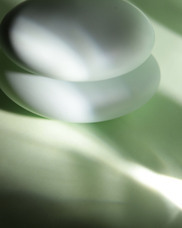 株式会社セントネーションズのプレスリリース画像16