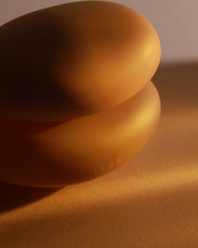 株式会社セントネーションズのプレスリリース画像18