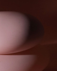 株式会社セントネーションズのプレスリリース画像11