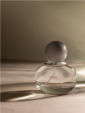 株式会社セントネーションズのプレスリリース画像1